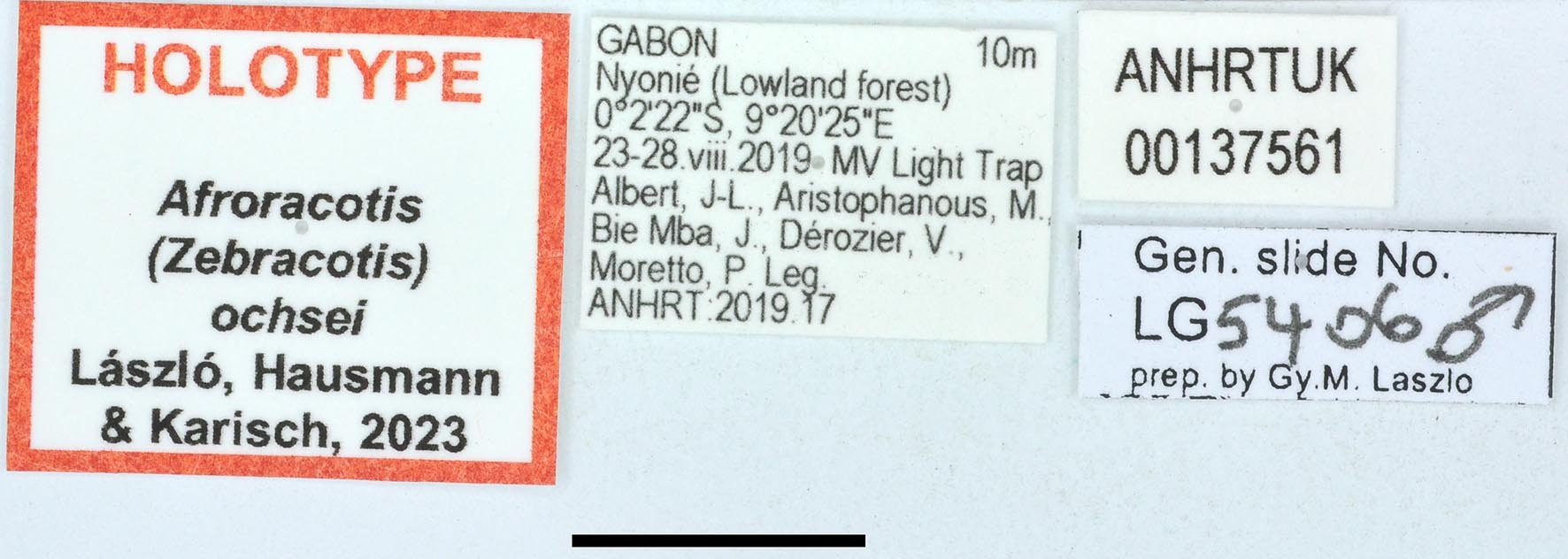 Afroracotis ochsei HT labels copy