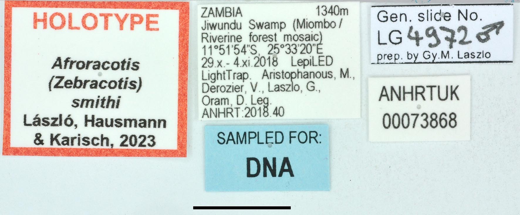 Afroracotis smithi HT labels copy