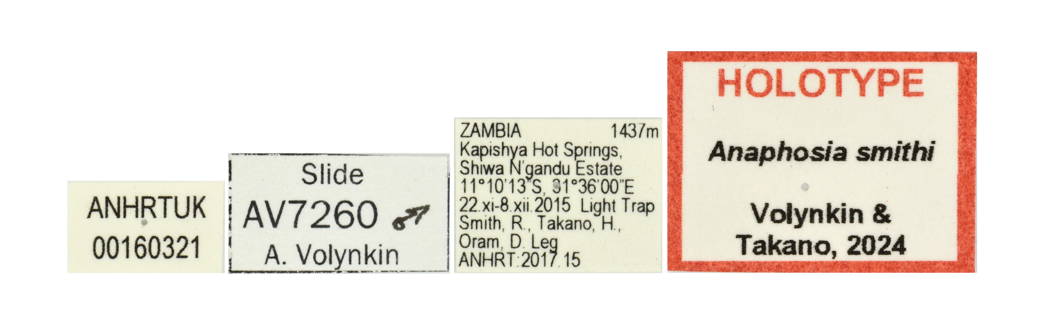 Anaphosia smithi labels