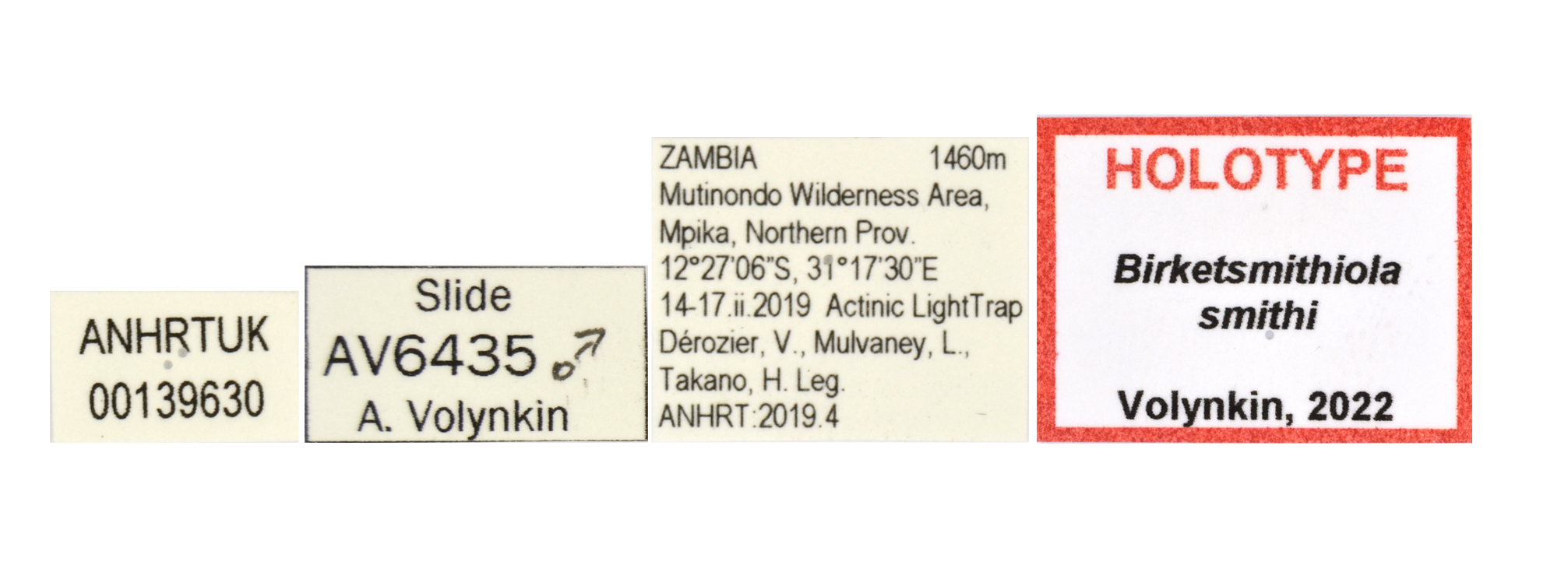 Birketsmithiola smithi labels