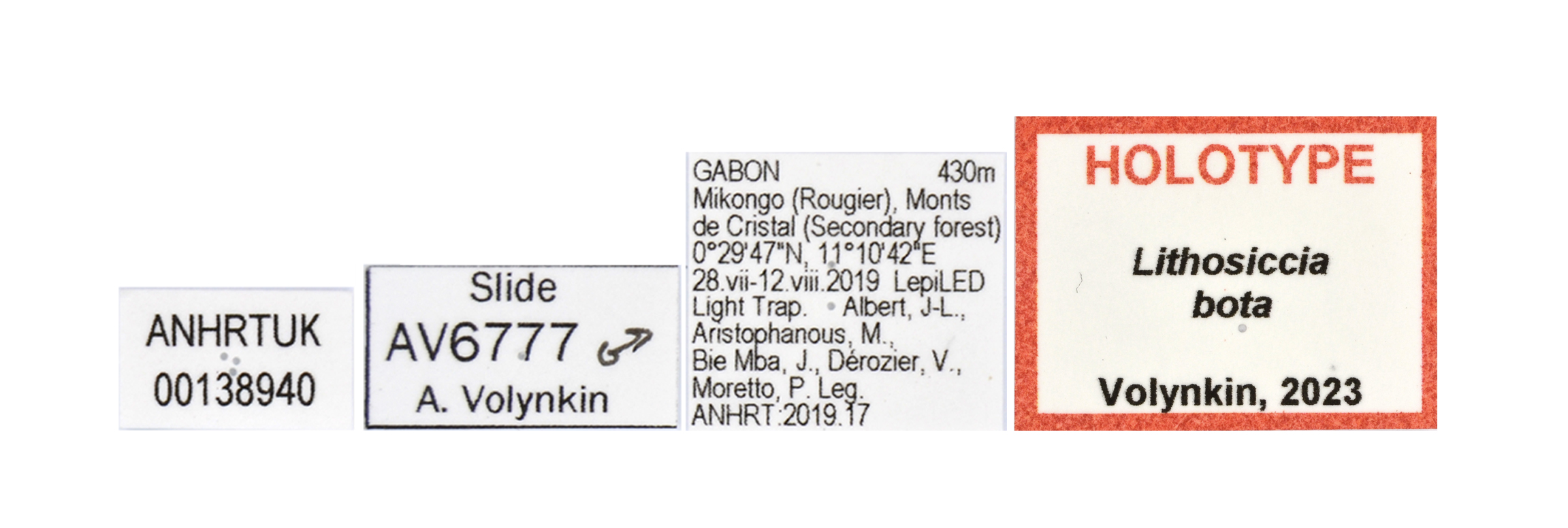 Lithosiccia bota labels