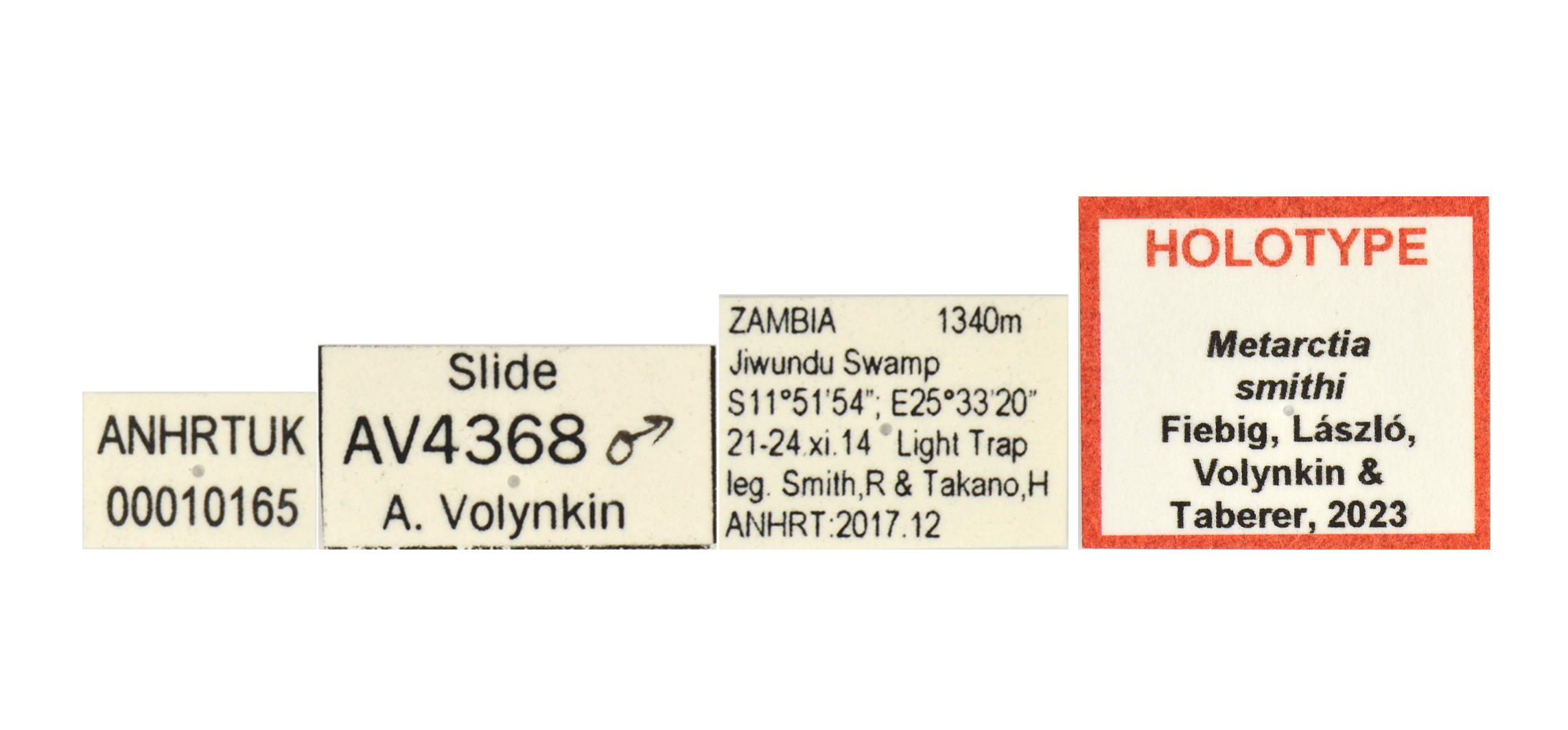 Metarctia smithi labels