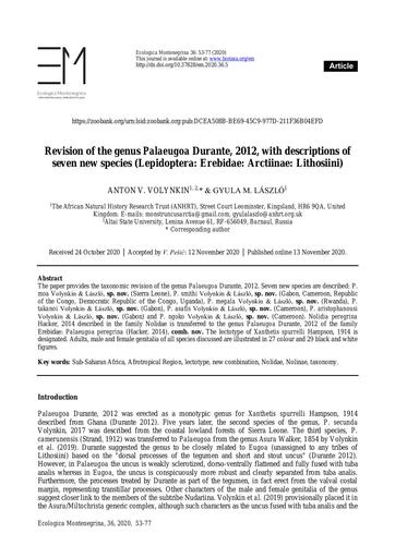 Volynkin, A.V. & László, G.M. 2020. Revision of the genus Palaeugoa Durante, 2012, with descriptions of seven new species (Lepidoptera: Erebidae: Arctiinae: Lithosiini). Ecologica Montenegrina, 36: 53–77.