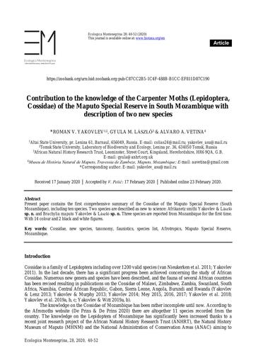 Yakovlev, R.V., László, G.M. & Vetina, A.A. 2020. Contribution to the knowledge of the Carpenter Moths (Lepidoptera, Cossidae) of the Maputo Special Reserve in South Mozambique with description of two new species. Ecologica Montenegrina, 34: 64–72.