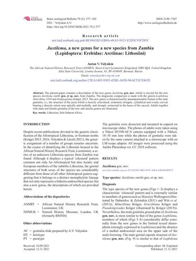 Volynkin, A.V. 2021. Juxtilema, a new genus for a new species from Zambia (Lepidoptera: Erebidae: Arctiinae: Lithosiini). Bonn zoological Bulletin, 70 (2), 377–382.