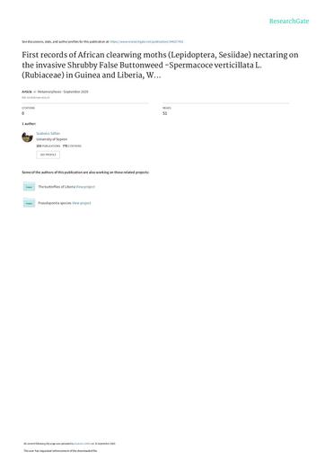 Sáfián, S. 2020. First records of African clearwing moths (Lepioptera, Sesiidae) nectaring on the invasive Shrubby False Buttonweed - Spermacoce verticillata L. (Rubiaceae) in Guinea and Liberia, West Africa. Metamorphosis 31 (1): 79–80.