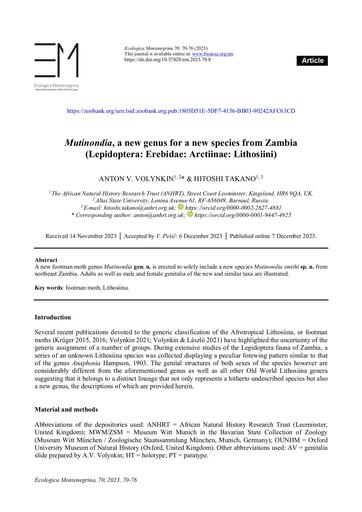 Volynkin, A. & Takano, H., 2023. Mutinondia, a new genus for a new species from Zambia (Lepidoptera: Erebidae: Arctiinae: Lithosiini). Ecologica Montenegrina, 70: 70-76.