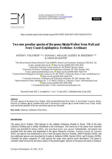 Volynkin, A., Müller G., C., Prozorov, A., M., & Saldaitis, A., 2022. Two new peculiar species of the genus Siccia Walker from Mali and Ivory Coast (Lepidoptera: Erebidae: Arctiinae). Ecologica Montenegrina, 54: 44-52.